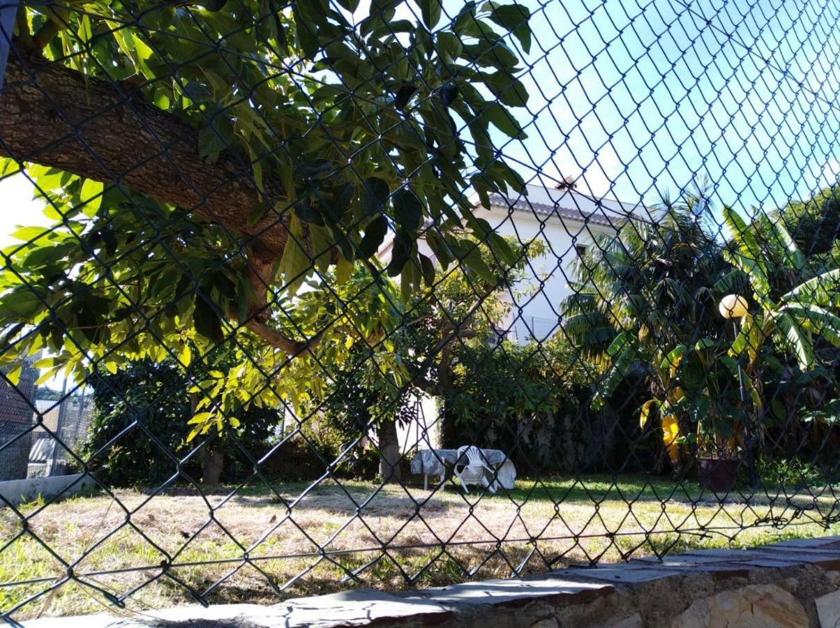 Casa Rural En Torrecuevas 阿尔姆尼卡 外观 照片